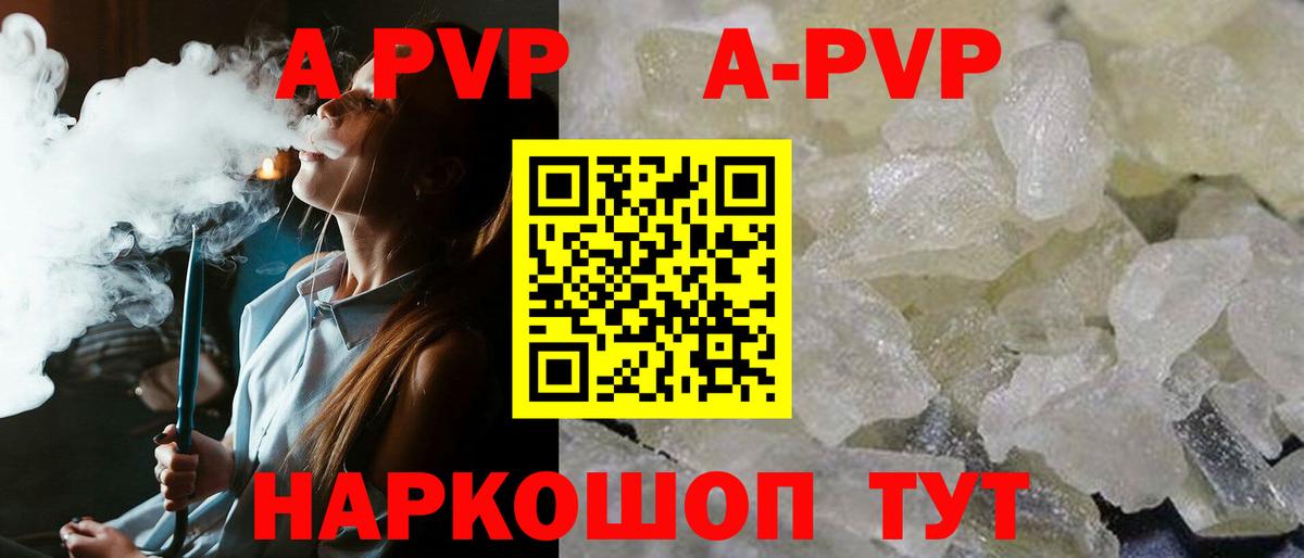 A PVP СК Ногинск